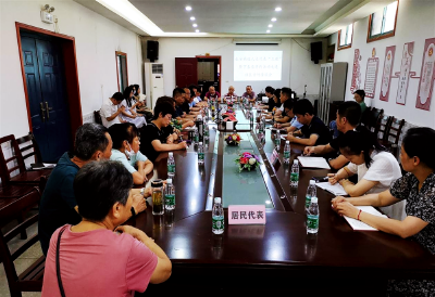 蔡甸永安：人大代表进社区 倾听民声纳民意