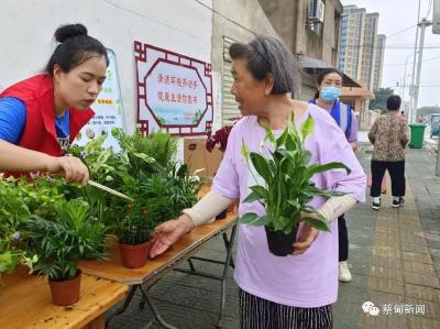 新时代文明实践丨蔡甸张湾街道：烟头换绿植，养眼又养心
