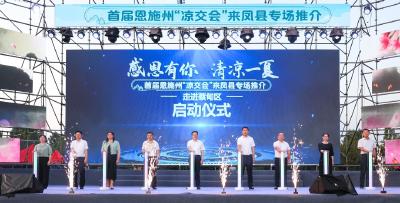 “凉交会”来凤县专场推介会走进蔡甸区