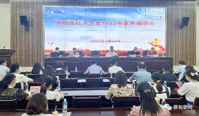 蔡甸区红十字会开展2022年业务工作培训会