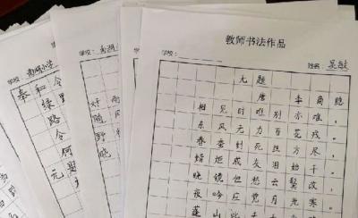 清廉蔡甸基层行 | 蔡甸区南湖小学：铸就书法之“魂” 描绘廉洁之“梦”
