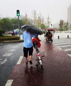 降雨！降温！蔡甸未来一周冷空气频繁登场！