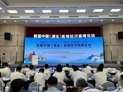 湖北县域经济一类县市区排名发布，蔡甸位列第六