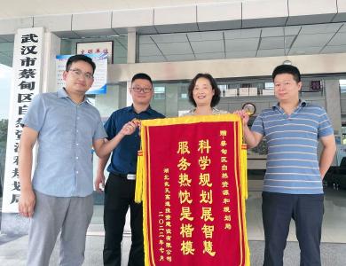 优化营商环境 | 蔡甸：高效服务重大项目获赞誉