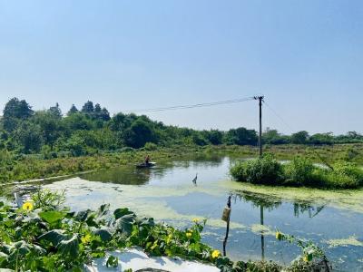 蔡甸桐湖对标问题抓实整改 巩固脱贫攻坚成果同乡村振兴有效衔接