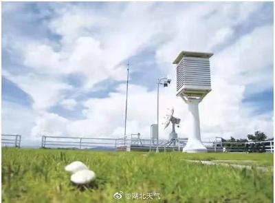  一眼望不到头！蔡甸高温“天天见”