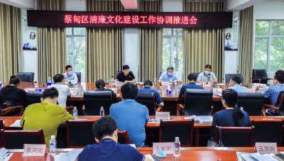 拓面提质 蔡甸区召开清廉文化建设协调推进会