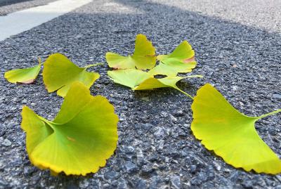 重回30℃+！蔡甸又要热起来了？ 