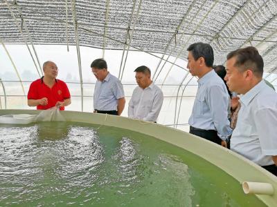全国水产推广总站站长崔利锋调研蔡甸区长江名优特色经济鱼类养殖试验与示范推广工作