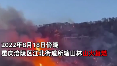 蔡甸消防提醒您： 秋季防火莫大意，野外用火需谨慎！