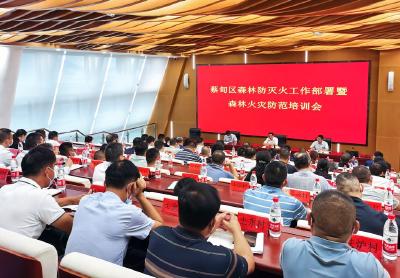 蔡甸区召开森林防灭火部署会暨森林火灾防范培训会