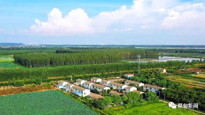 蔡甸区人大常委会动员部署《乡村振兴促进法》执法检查