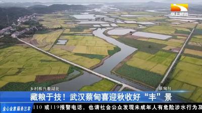 媒体聚焦 | 湖北垄上频道聚焦蔡甸秋收好“丰”景
