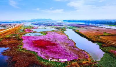  这十年丨武汉蔡甸：湖光山色锁深秋