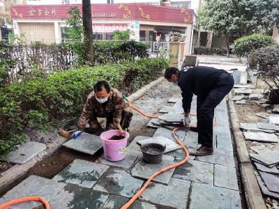 蔡甸：居民用水犯了难 社区协调解民忧
