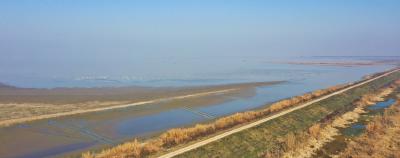  武汉蔡甸沉湖湿地再次登陆中国国际电视台 向海外推介