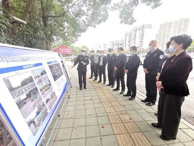 蔡甸区政协视察交通设施建设情况