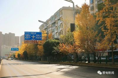 北风吹 蔡甸区气温下滑秋意渐浓