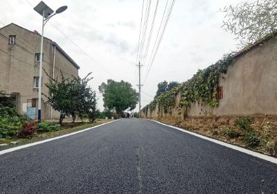  蔡甸练武村：心系群众修路灯 铺设村民幸福路
