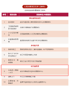 名单公示！蔡甸一新时代文明实践志愿服务项目入围全省决赛