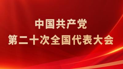  直播回看丨中国共产党第二十次全国代表大会