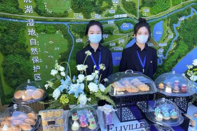 助力国际湿地大会召开 蔡甸大学生志愿者在行动