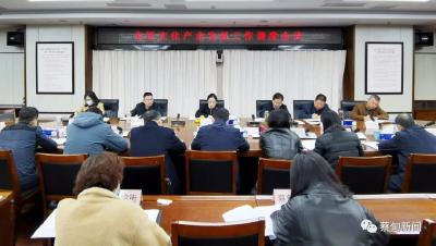  蔡甸区文化产业发展工作调度会议召开