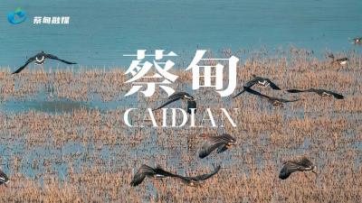 蔡甸，湿地成诗