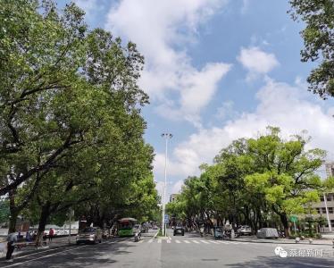 新一轮冷空气候场！蔡甸接下来气温将……
