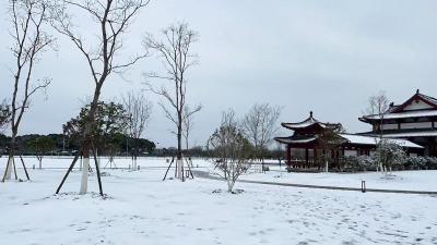 蔡甸迎2023年初雪！道路结冰请小心