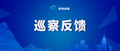 七届蔡甸区委第二轮暨村（社区）第一轮巡察完成反馈
