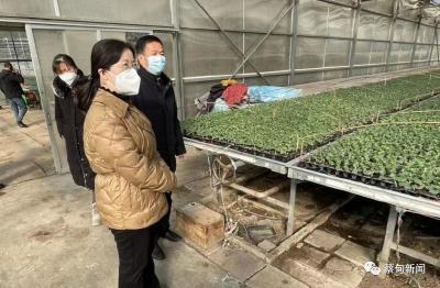 蔡甸区领导检查春节前安全生产工作