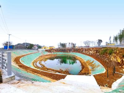  乡村振兴丨蔡甸彭新村：打造景观塘 擦亮新名片  