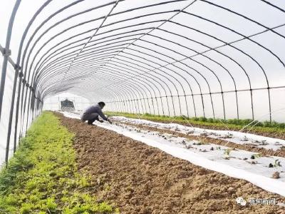 蔡甸金鸡村：掘金国家地理标志农产品 编织幸福美好生活