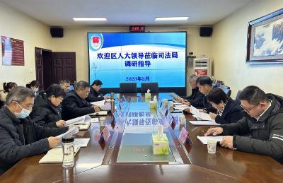蔡甸区人大专题调研区司法局法治建设工作