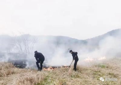 蔡甸索河：“秸”尽全力 守护碧水蓝天