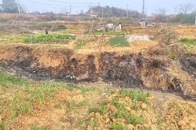  蔡甸城管路长制止焚烧秸秆 消除安全隐患