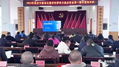 蔡甸：免费就业创业技能培训 助力乡村振兴