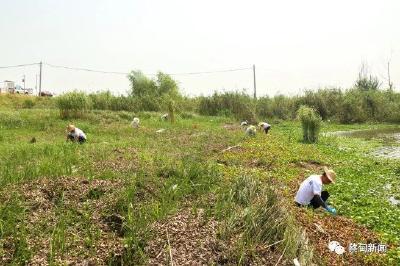  推进消除保达标 蔡甸区部署血防工作