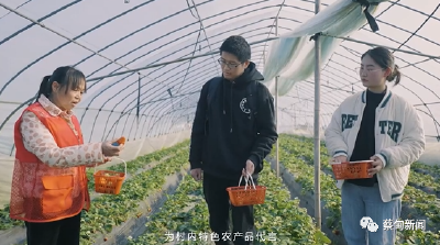 学习宣传贯彻党的二十大精神·蔡甸新时代新乡贤事迹展播 | 龚万梅：永不退休的“领头雁”