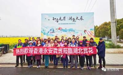 花海美 服务暖 香港游客点赞美丽消泗
