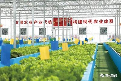 蔡甸区老促会：心系老区践初心，发挥余热促建设 [