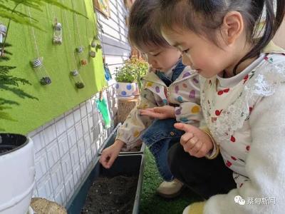 ​小手为春天添绿 蔡甸各校在幼儿心中播撒绿色