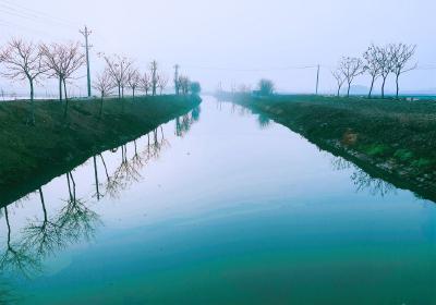 蔡甸永安：源头治理见成效 河道旧貌换新颜