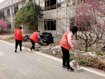 区建设局、张湾街道携手爱国卫生运动 共建共享美丽洁净家园