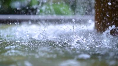 阵风5-7级！蔡甸降温降雨来袭......