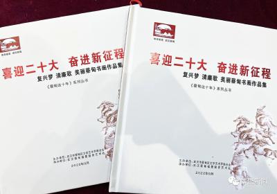 首发！224件作品展示《蔡甸这十年》
