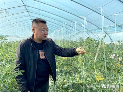 蔡甸英才风采展丨张火金：田园追梦人 托起乡村振兴致富梦