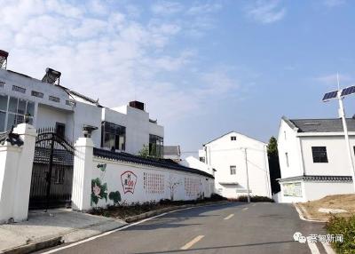  武汉市清廉村居建设现场会在蔡甸召开