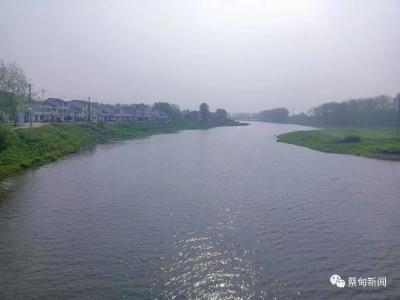 蔡甸区领导调研河湖水环境工作